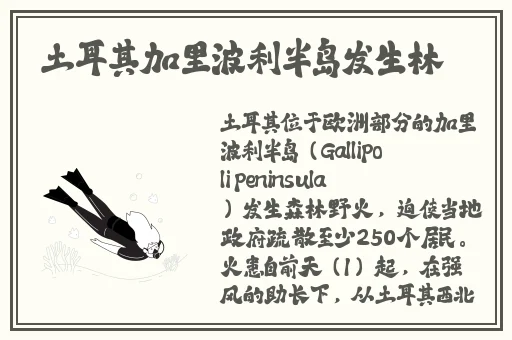 游泳馆里的两个教练孟月月